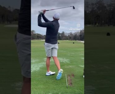 Dean Burmester driver & iron DL