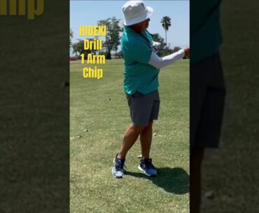 HIDEKI MATSUYAMA 1 Arm Chip DRILL, great rhythm #golf #pure #golfer #diy #shorts #golfer #golfswing