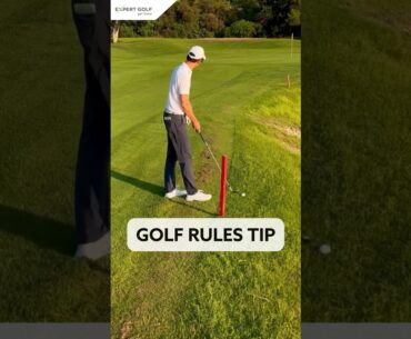Golf Rules Tip | Red Stake In Penalty Area #golf #rules #golfrules #rulesofgolf #golftips #golfer