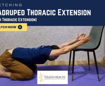 Quadruped Thoracic Extension Stretch (Bench Thoracic Extension/ Thoracic Mobilisation)