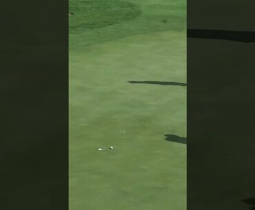 That’s 3️⃣ birdies already for Peter Uihlein and he’s now tied atop the individual leaderboard. 🔥