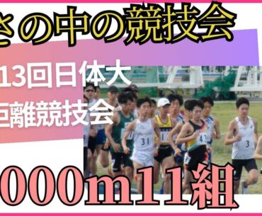 5000m11組　第313回日体大長距離競技会　#唐澤拓海　#小森コーポレーション　#中野大地　#コモディイイダ
