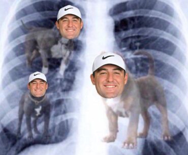 PGA Tour Posted this! The Real TOP DOG!!!!