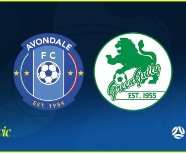 2024 NPLMVIC Round 11: Avondale FC v Green Gully SC