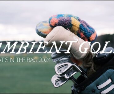 What's in the Bag for 2024