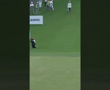 A putt that goes from bad to worse 👀