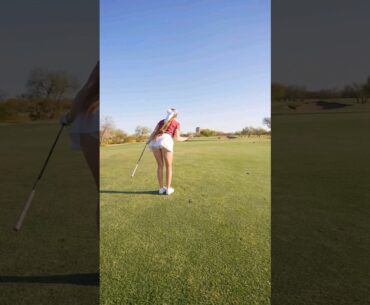 Claire Bear #golf #golfswing #shorts