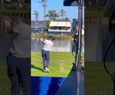 Jake Knapp On 17 At The Players