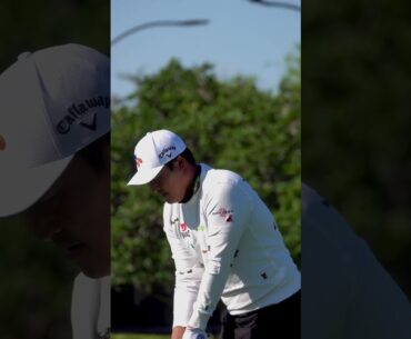 Sexiest Guy KH Lee 이경훈 프로, 많은 응원 부탁드립니다~! #khlee @PGATOUR