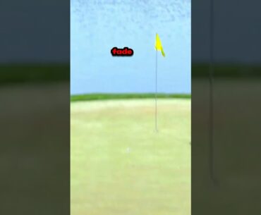 Golf Hole In One by Ryan Fox #golf #viral #video #shorts