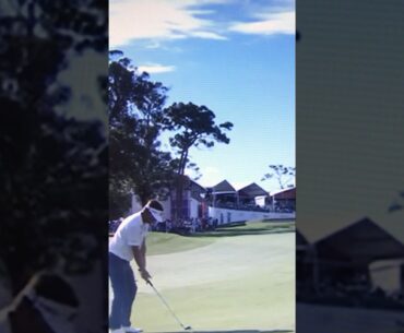 Keith Mitchell INSANE HOLE OUT EAGLE!! Valspar Championship 2024. #golf