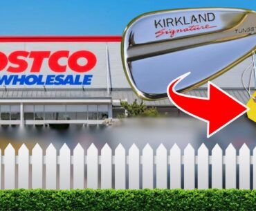 The BRUTAL Truth Behind The BUDGET COSTCO Irons...