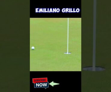 Nice shot by Grillo #golfswing #viral #youtubeshorts