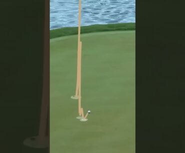 Unbelievable! Hayden Buckley Scores an Ace at Players Championship | PGA Tour Must-See #golfswing