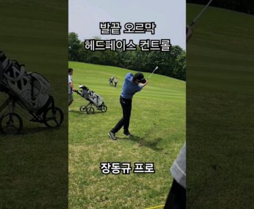 헤드가 일찍 닫히지 않도록 최대한 클럽페이스를 유지하는 장동규 프로의 멋진 발끝 오르막 샷 #골프 #golf #골프스윙 #kpga