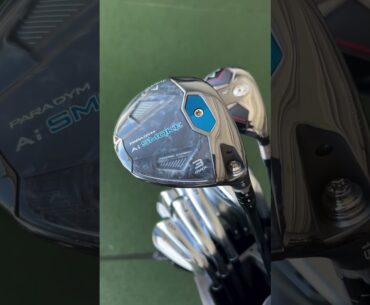 My 2024 what’s in the bag! Full breakdown!