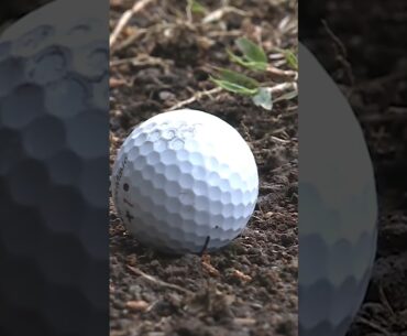 HOW has he made birdie from THERE?! 👀