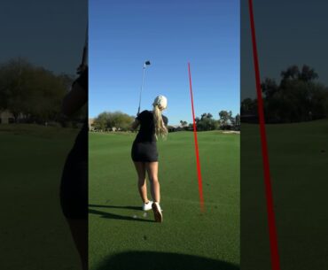 Day 2 of Chasing an EAGLE!!