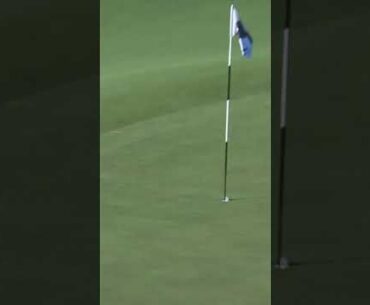 Kalle gets the people GOING! #golf #sports