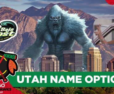 Debating NHL Utah team name options & Stanley Cup Playoff catch up | CHGO Blackhawks Podcast