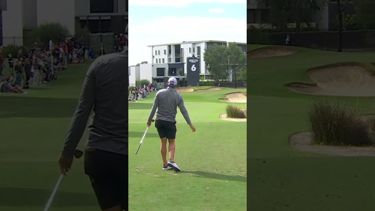 Pin seeking ⛳️ Pin seeking ⛳️