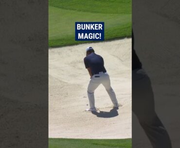 Tom Kim's AMAZING bunker chip! 😱