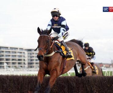 EXHILARATING jumping from Edwardstone in the Game Spirit at Newbury!