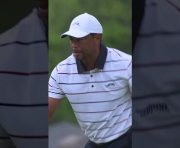 タイガー🐯▷金谷拓実▷グリーヨ▷ホブランド▷松山英樹【全米プロゴルフ選手権2日目】