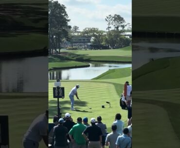 Patrick Cantlay. Winner Prediction Valhalla PGA Championship 2024