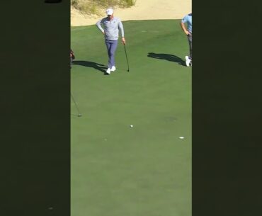 Precision on the green ⛳️