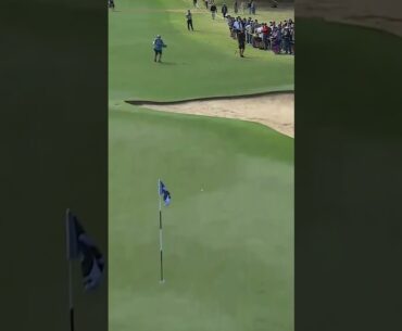 Stopping it on a dime ⛳️