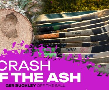 ASH DIEBACK: The 'national emergency' that could change hurling as we know it | GER BUCKLEY