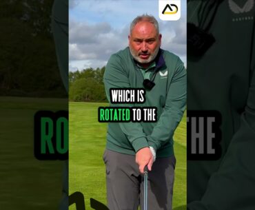 Golf Grip SIMPLE Check Points
