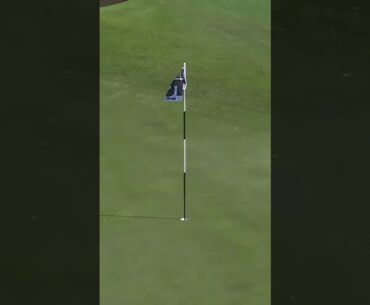 Playing the slopes to perfection ⛳