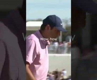 Super Golf Shots! #shorts #golf #golfhighlights