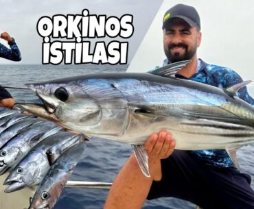 Antalya Körfezini Orkinoslar Bastı !!