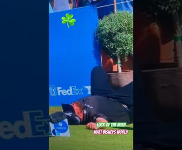 Shane Lowry  apologizes to Rory Mcilroy but is saved by the luck of the Irish ☘️ at the Zurich