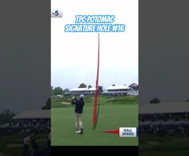 Max Homa vs Average Joe on Same Shot (TPC Potomac 16) #golf #shorts