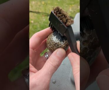 Cleaning the World's Dirtiest and Most Cursed Golf Balls!