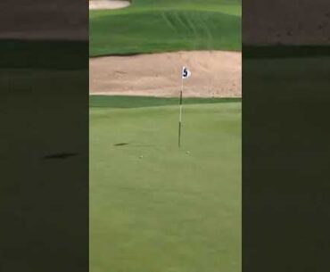 Scott Vincent knows how to set up the easy ones. #golf #livgolf