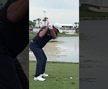 Ryan Fox Iron Swing Slow Motion