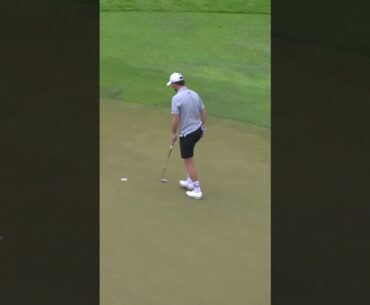 Master on the greens ⛳️