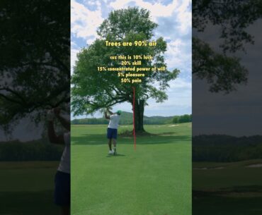Trees are 90% air #golf