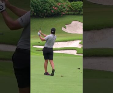 All over the pin with this approach 🎯
