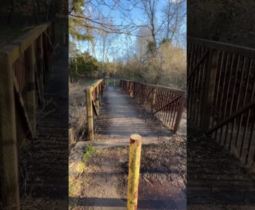 Bridge 3/3/24