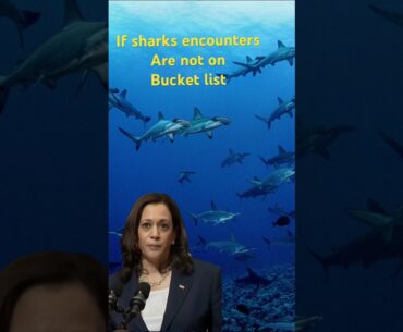 I invite you to embark on a journey to one of the most extraordinary places on Earth #sharks #travel