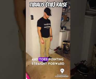 Tibialis (Tib) Raise - use these on #LegDay to build #Ankle #Strength #empowerinccoaching