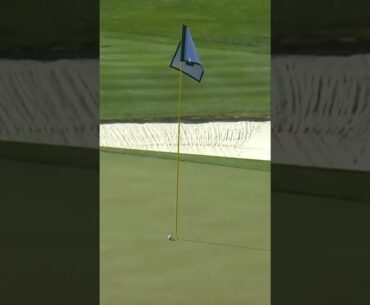 Unbelievable Moment: Sam Ryder Becomes a Legend at the WM Phoenix Open! 🏌️‍♂️