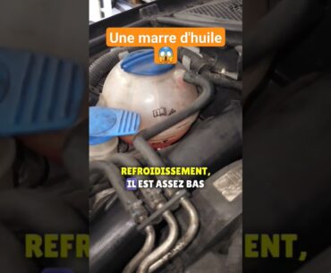 Une belle surprise au démontage, de l'huile de partout, tu est d'accord avec le diagnostic ?  #audi