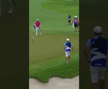 A magnificent chip in 🔥